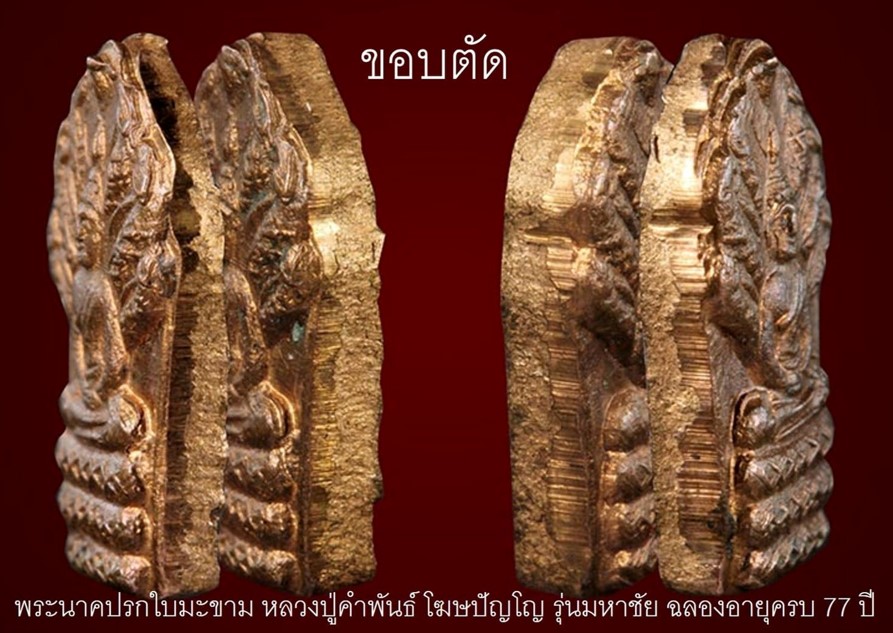 พระปรกใบมะขามมหาชัย หลวงปู่คำพันธ์ ปี 35