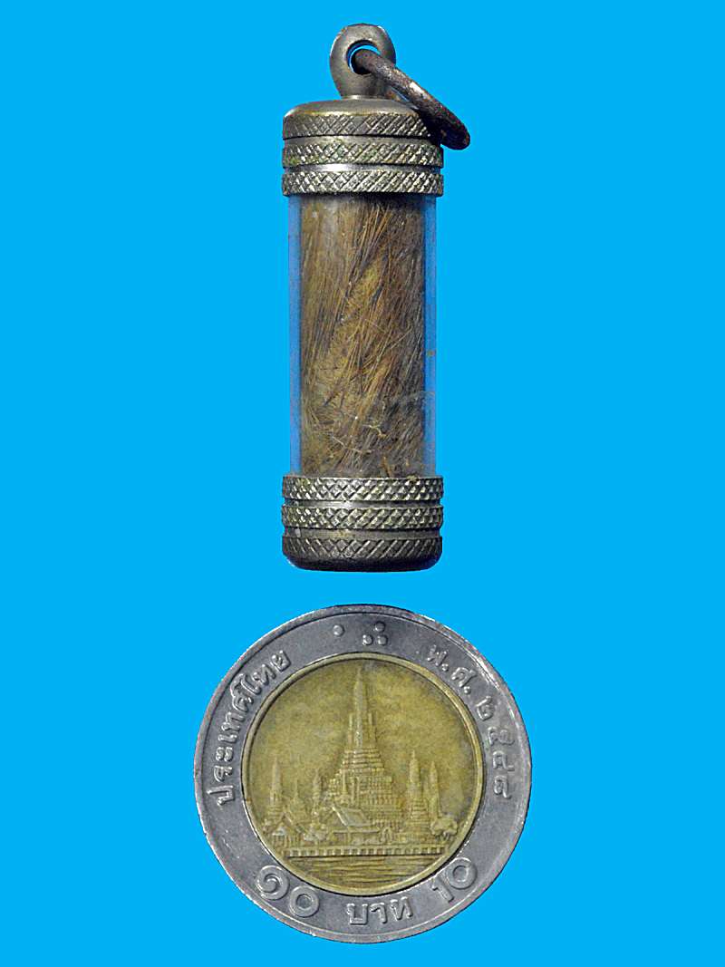 ตะกรุดหนังเสือไฟ วัดพระธาตุดอยคำ