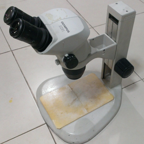 ขายกล้อง low power microscope