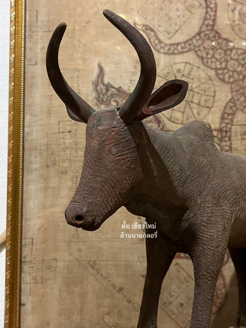 เป็น วัวธนูอาคม อีกตัว ที่สง่างามทรงพลัง