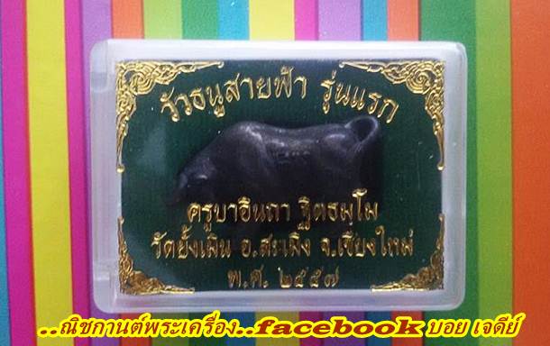 วัวธนูครูบาอินถา วัดยั้งเมิน (ตัวที่1)