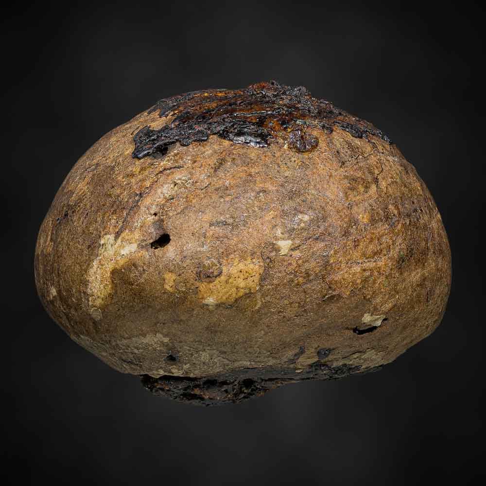 หมากเปลือย