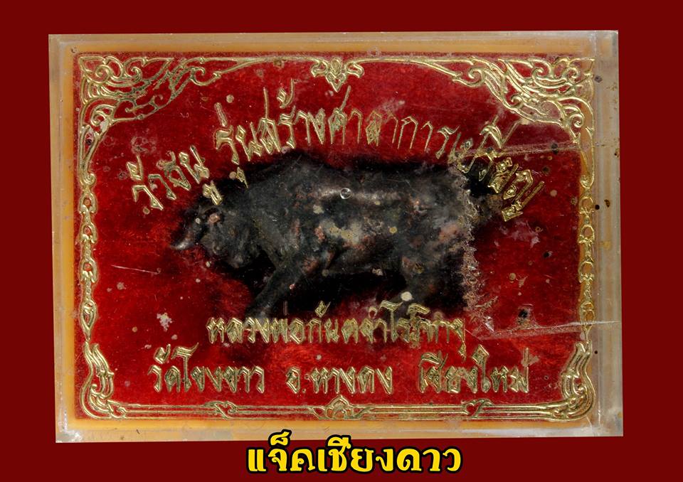 วัวธนูวัดโขงขาว ปี 2518 หลวงพ่อฤาษีลิงดำ 