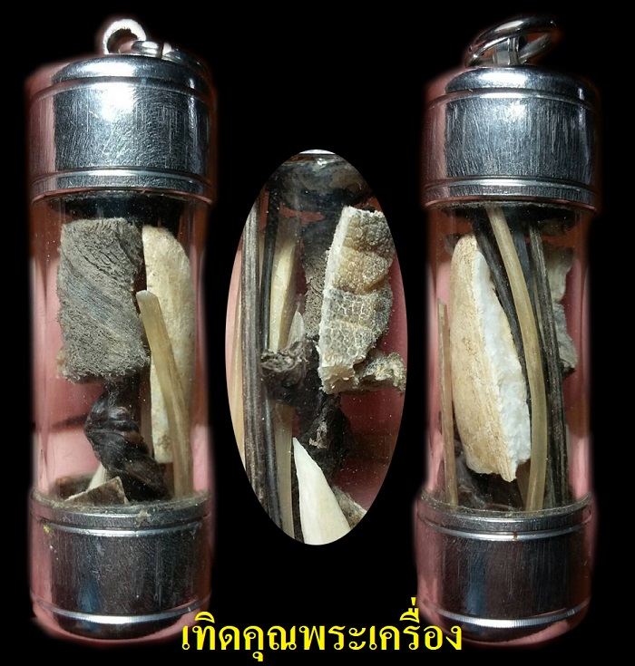 รวมของดี(ช้าง)ของทนสิทธิในตัวหายากครับ