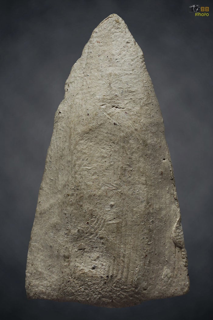 อัฐิหลังย่น รุ่นแรก สวยๆ ครับ